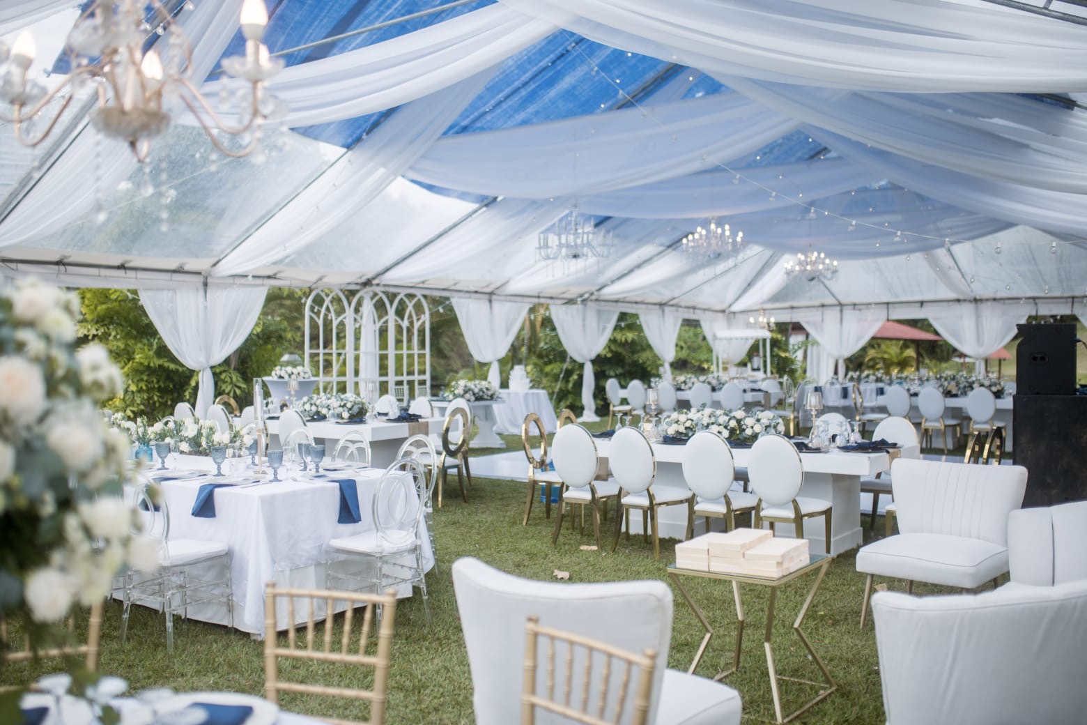 Salón completo con sillas doradas y drapeados blancos